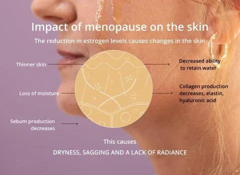 Visible signs of skin aging caused by declining estrogen levels during menopause.